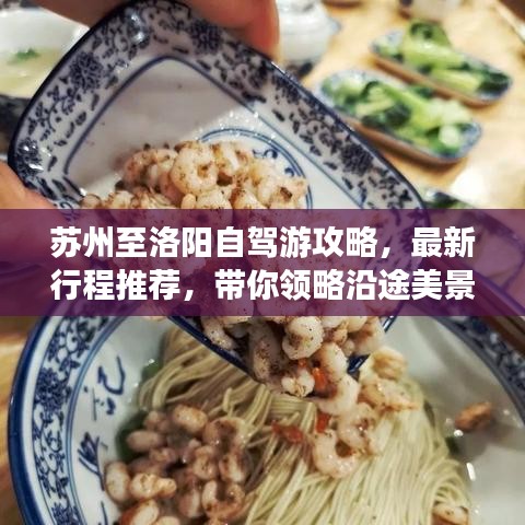 苏州至洛阳自驾游攻略，最新行程推荐，带你领略沿途美景！
