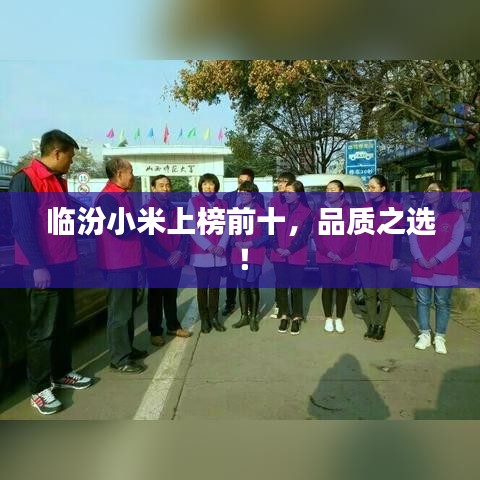 临汾小米上榜前十，品质之选！