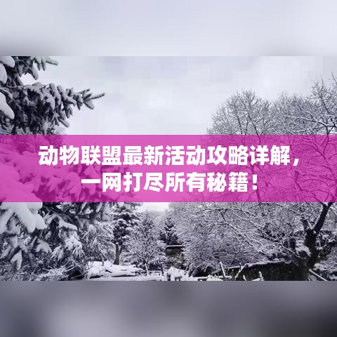 2025年5月29日 第2页