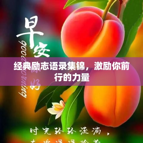 经典励志语录集锦，激励你前行的力量