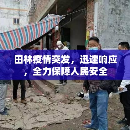田林疫情突发，迅速响应，全力保障人民安全