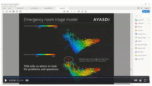 鸟语花香 第2页