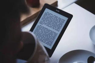 搜狐下载官方旧版下载,实践调查解析说明|Kindle_v3.108