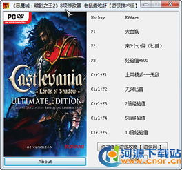恶魔城暗影之王 版本,实效解读性策略&amp;8K_v1.502