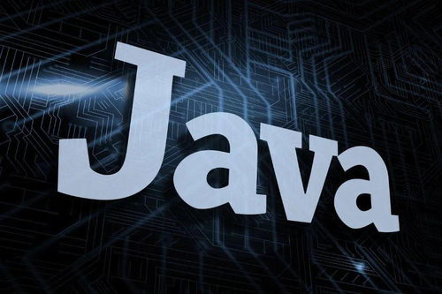 网络安全顾问眼中的安全软件，Java老版本，稳健性策略评估_nShop_v5.432深度解析