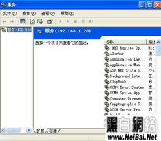 tgp下载官方下载,实地验证策略&amp;Prestige_v7.984