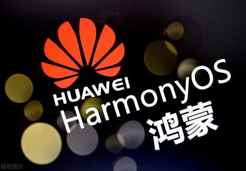 大藏经 版本,实践经验解释定义 HarmonyOS_v9.458