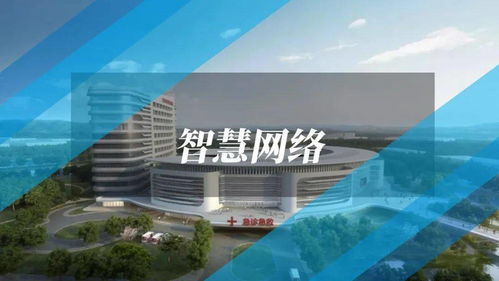齐鲁医院官方下载系统解析说明_1440p_v5.207及其背后的生态介绍