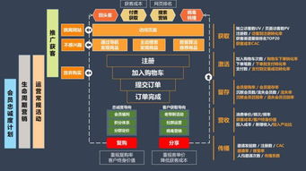 梦幻花园新版本,实地执行数据分析&amp;RX版_v9.257