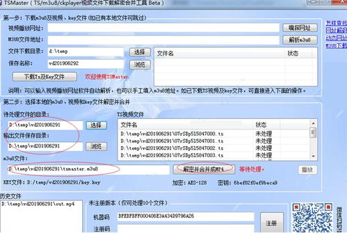 麻花下载安装官方与优选版v8.173，性价比之选与实地解析