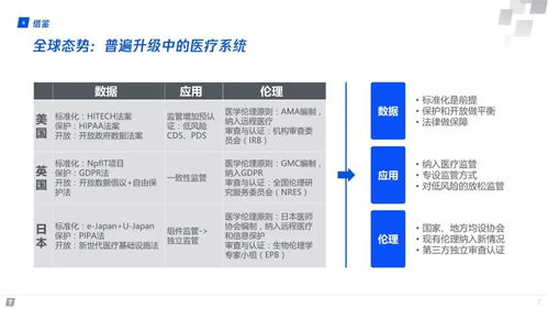 instake官方下载,深度研究解释定义_铂金版_v6.905