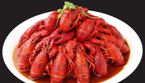 虾漫2.0版本,最新研究解析说明_高级款_v9.249