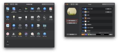 如何从零开始使用支付宝苹果版本,安全性策略解析_顶级版_v2.656教程