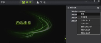 西瓜影音版本在Mac上的使用指南及体验评测,数据说明解析_免费版1_v1.730