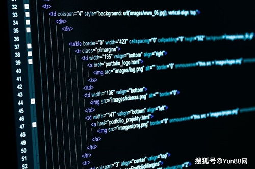 pplive官方apk下载,实效性解析解读策略 FHD_v8.159