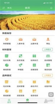豆荚官方下载,深入执行方案设计_模拟版_v5.675