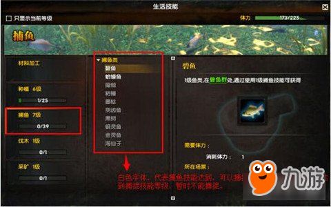 吞噬苍穹激活码领取与带兵打仗的单机版,专家说明解析_SE版_v5.481
