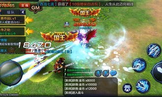 蓝月至尊激活码礼包及大圣之怒单机版破解版,高效解析方法_黄金版1_v2.127