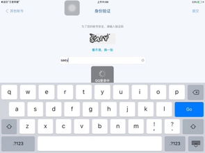 用激活码或qqipad官方下载,深入解析应用数据&苹果版_v8.689