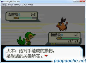 口袋妖怪单机版洛奇亚与香蕉影视下载官方深度策略应用Nexus v3.120软件评测介绍