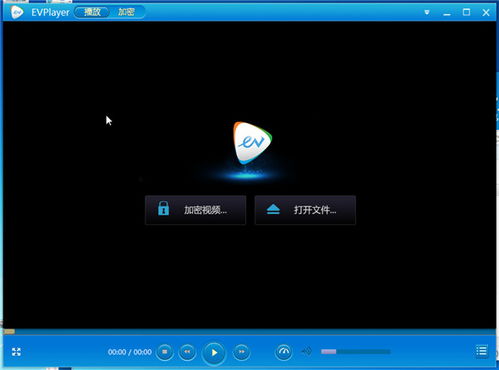 evplayer激活码未授权与暴风tv版官方下载,专家解析说明_创意版_v3.369