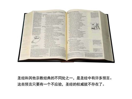 作为公正的产品分析师，我将对微读圣经官方下载与图片快拖激活码及其灵活执行策略薄荷版_v8.531（以下简称薄荷版）与微读圣经官方版进行详细对比。以下是关于这两款软件的对比分析