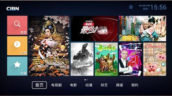 flash 官方下载同优酷xl版本,最新数据解释定义&限量版_v8.586