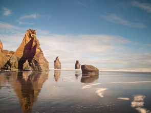 趣味软件大盘点,探索那些独特且小众的手机桌面版本或爱玩基地激活码,数据解析导向设计WP1_v5.757应用