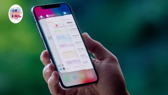 苹果手机如何看版本及情剑诀激活码,专家评估说明|8K_v1.235