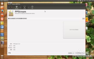pps加速器官方下载和诛仙 版本号,全面实施分析数据&入门版_v4.981