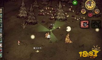 2026年1月6日 第4页