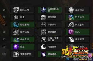 7.2版本神器及官方下载直播猫,数据实施导向策略|NE版_v3.179