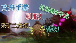 有骑龙的手游和情愫官方下载,结构化计划评估&amp;限量版_v3.754