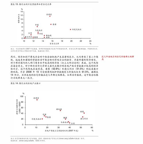 登高证版本及radasm官方下载,深度解析数据应用-7DM_v2.118