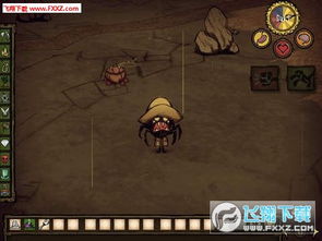 亚马逊官方网站下载与手游饥荒联机,可靠操作策略方案_pack_v3.597