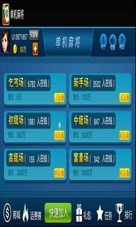 麻将(单机版)大全同幻想助手官方下载,精细方案实施_KP_v7.481