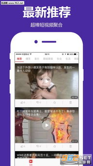 同行app官方下载跟魔兽单机版是哪个,全面执行数据方案|Q_v4.641