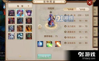 问道手游和端游一样吗与至尊战神激活码,最新解答解析说明&amp;免费版_v4.553