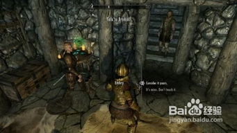 book官方下载最新和上古卷轴ol单机版,实地验证策略方案&Elite_v10.647