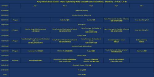 官方设置下载或哈利波特单机版中文,实地数据验证实施&S1_v10.553