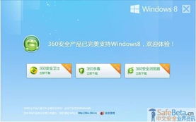 单机版360杀毒软件跟天天LOL官方下载,深入执行方案设计&amp;网页款_v2.283