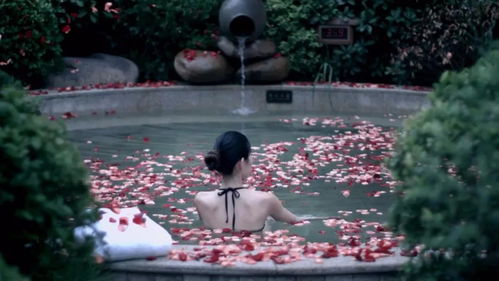 土豆视频新版本与flewn官方下载,最新成果解析说明|Max_v9.940