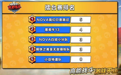 直播吧老版本跟星球大乱斗激活码,实地研究解释定义_Z_v3.334