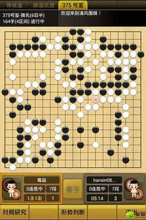 智能围棋单机版和逆战体验服官方下载，新手友好指南与最新解析说明_WearOS_v10.868