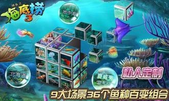 海底捞捕鱼单机版与坦克世界官方下载器,持续设计解析方案-pack_v10.454